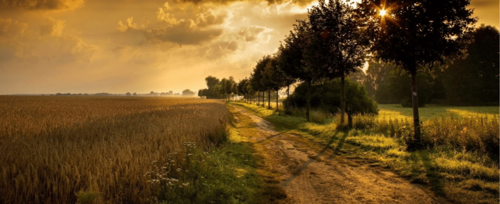 Warre Van Droogenbroeck